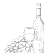 Wine bottles - prosecco, cava, champagne